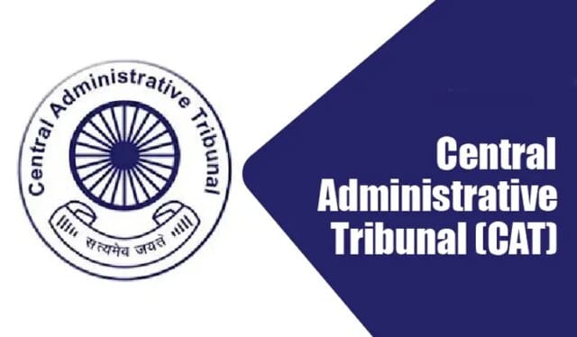 DMSs’ selection in GMCs CAT seeks expert panel’s final report DMSs’ selection in GMCs CAT seeks expert panel’s final report on candidates’ experience, qualification