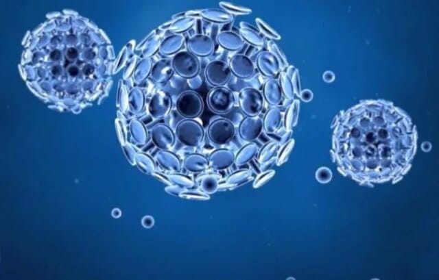 Covid-19 virus protein triggers immune attack on healthy cells: Study