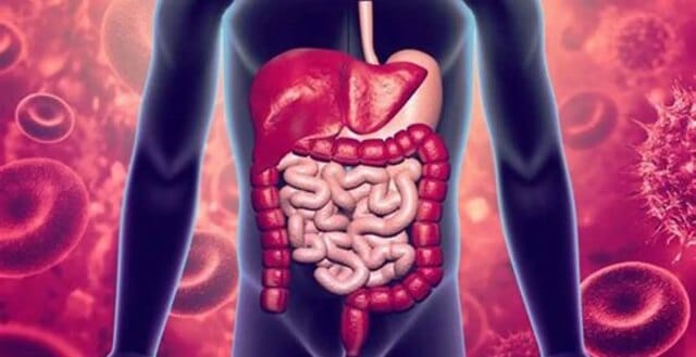 Elderly woman dies, over a dozen hospitalised Gastroenteritis outbreak in Rajouri: Elderly woman dies, over a dozen hospitalised