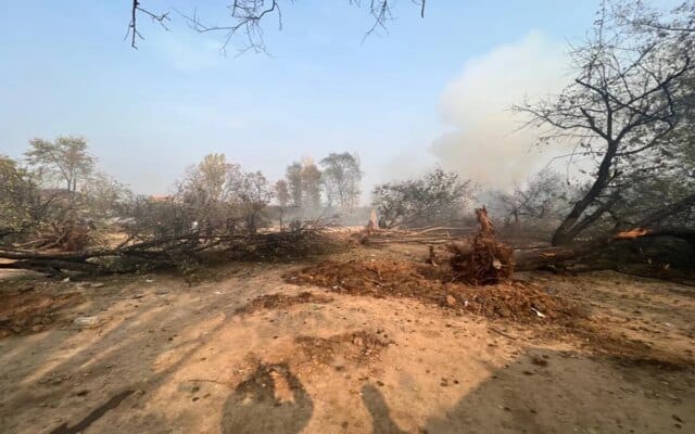 Over 1.8 acres encroached land retrieved in Jammu