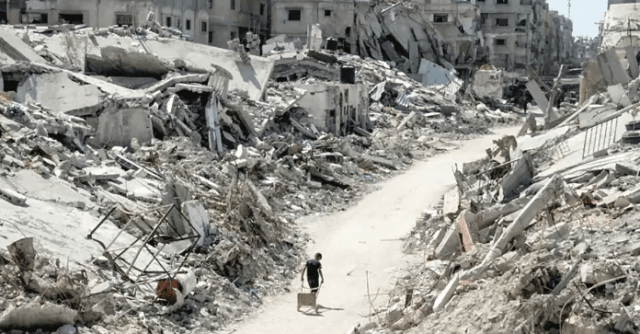 India calls for ceasefire in Gaza, says intermittent pauses 'not enough'