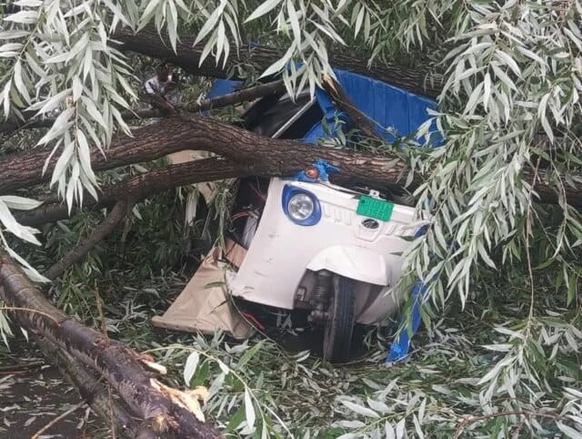 Strong winds wreak havoc in Srinagar; uproot trees, damage vehicles Strong winds wreak havoc in Srinagar; uproot trees, damage vehicles