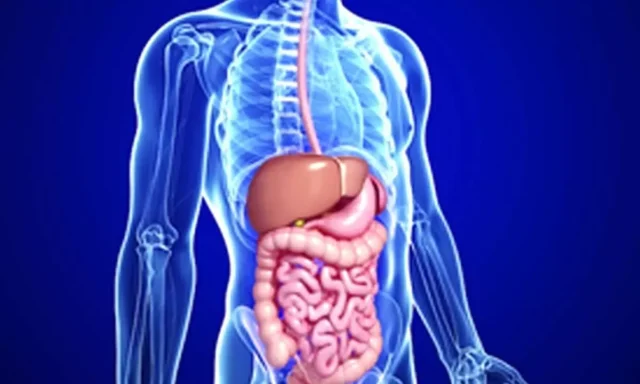Non-antibiotic drugs can disrupt microbiome, raise gut infection risk