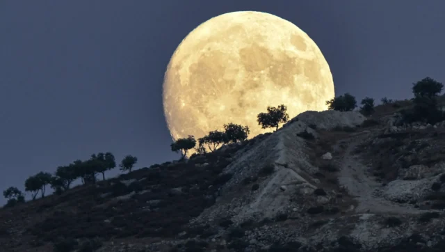 Why August’s full moon is known as the Sturgeon moon Why August’s full moon is known as the Sturgeon moon – and what it signifies