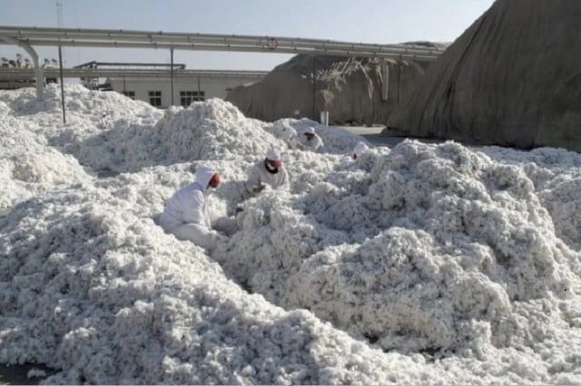 India’s first steps to shield textile exporters from US tariff war: cotton duty exemption extended