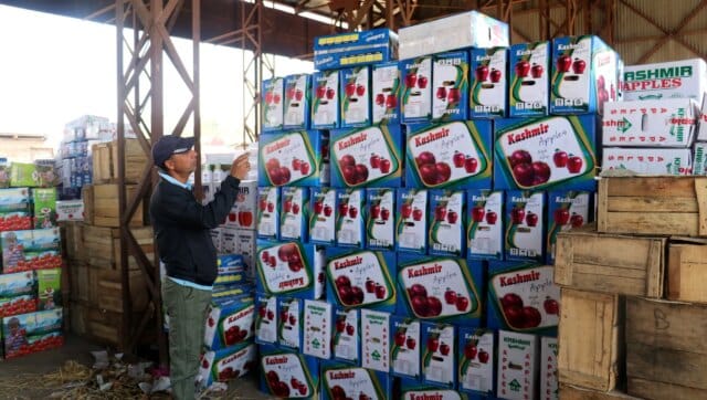 Kashmir’s apple industry at risk, warns former horticulture officer