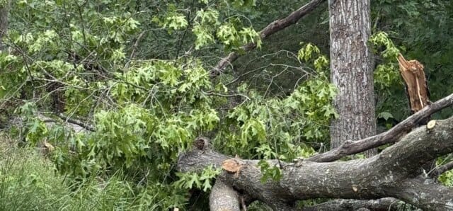 Apple Farmers Federation warns of protests over highway closure, rising freight costs