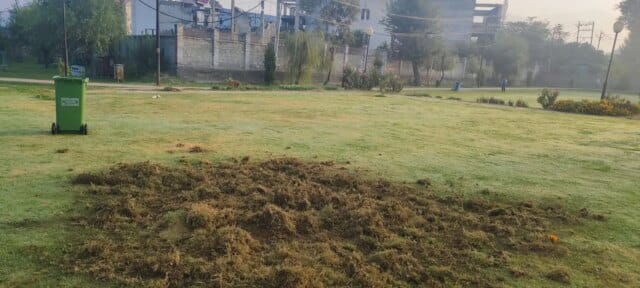 Lax Maintenance: Stray dogs dig up Joggers Park in Raj Bagh, locals question accountability