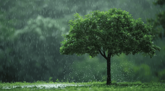 Monsoon withdrawal likely to begin around September 15: IMD Monsoon withdrawal likely to begin around September 15: IMD