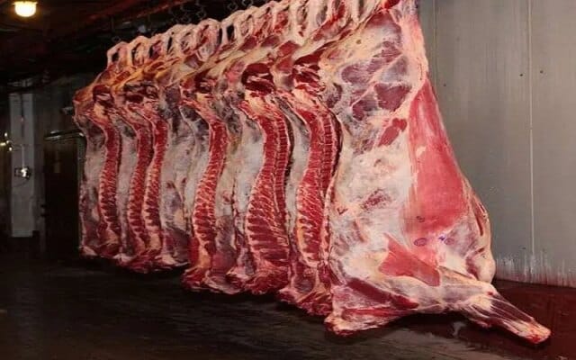 Leh admin directs meat shoPublic demands reopening of Municipal slaughterhouses in Sgr to ensure safe meat consumptionps to install black glass panels within 15 days