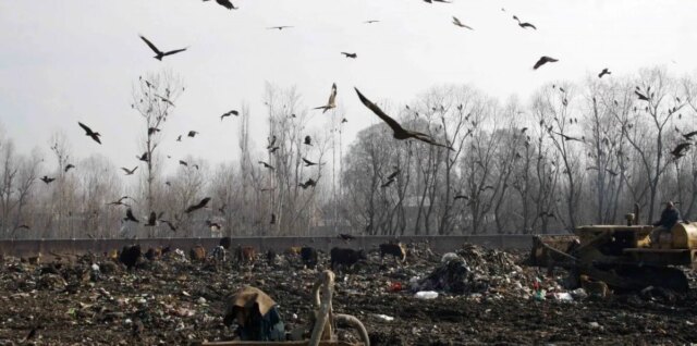 Govt pledges to make city breathe again Govt pledges to make city breathe again