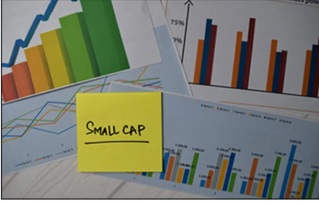 Are small-cap funds the hidden gems of mutual fund investments?