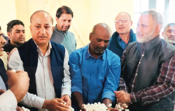 Autumn rearing Cocoon auction market commences at Sericulture complex Autumn rearing Cocoon auction market commences at Sericulture complex