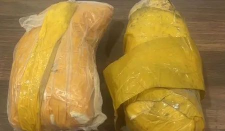 Narcotics smuggling bid foiled along IB in Jammu, two packets Narcotics smuggling bid foiled along IB in Jammu, two packets seized