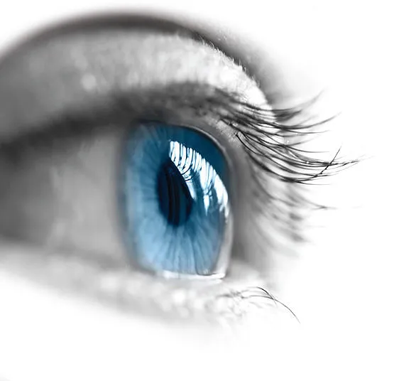 Study shows eye scans may provide clues to ageing, heart Study shows eye scans may provide clues to ageing, heart disease risk